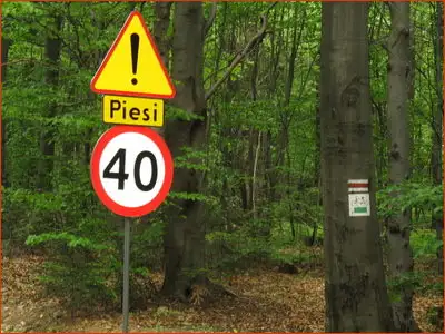 znak A-30 inne niebezpieczeństwo - w tym wypadku piesi w pobliżu jezdni