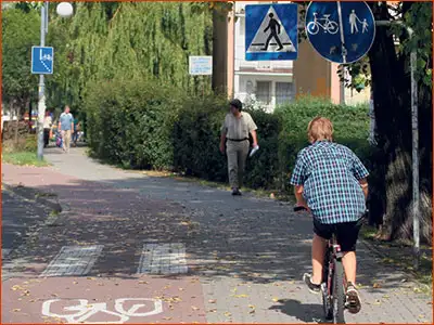 znak C-13/16 rowerzysta powinien jechać lewą częścią drogi - dla rowerzystów