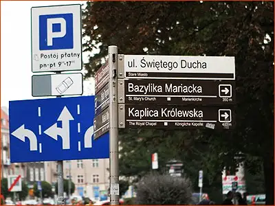 znak D-44 i tabliczka T-30c płatny postój na chodniku skośnie do krawężnika