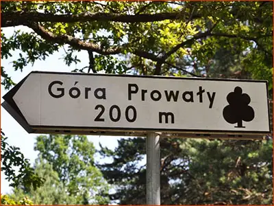drogowskaz E-11 drogowskaz do zabytku przyrody